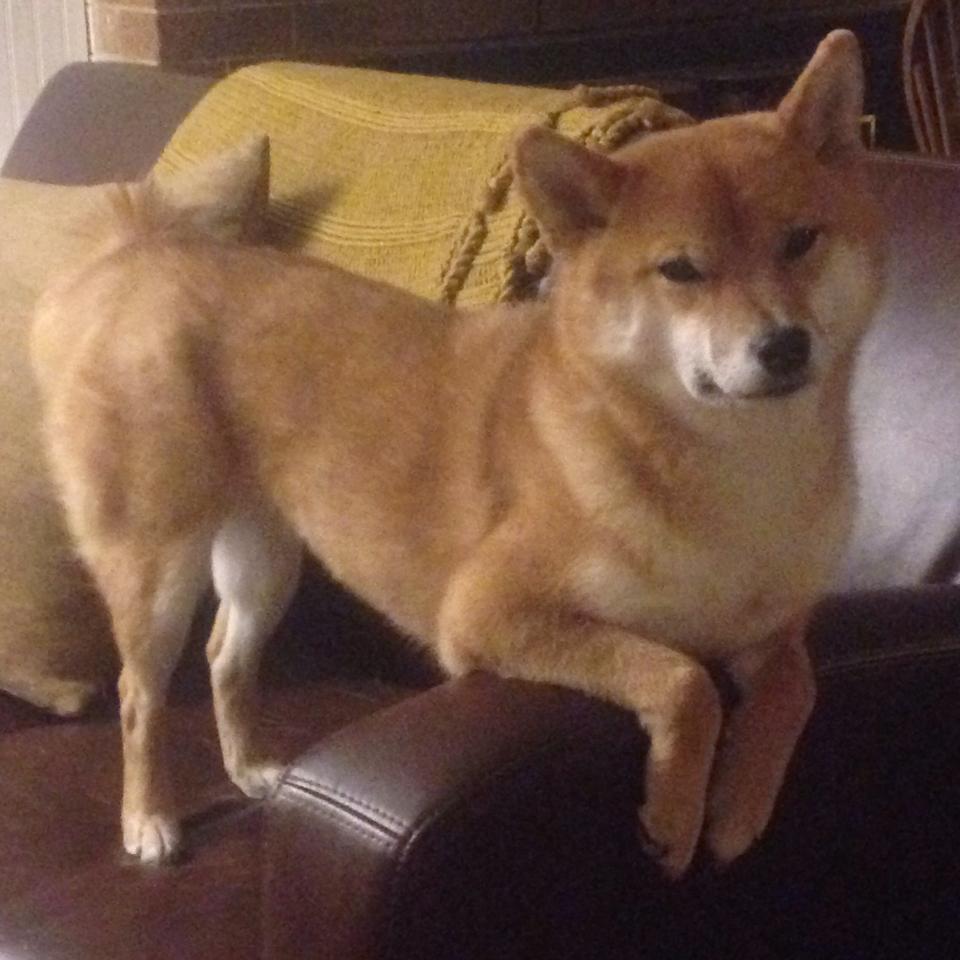 九游电竞中心-“史诗专辑：联盟历史上的十大经典逆转”，联盟历代阵营领袖