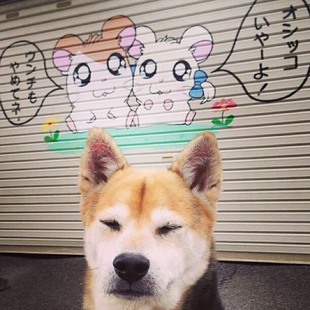 《使命召唤》选手结婚：电竞爱情故事与家庭生活，使命召唤游戏人物原型