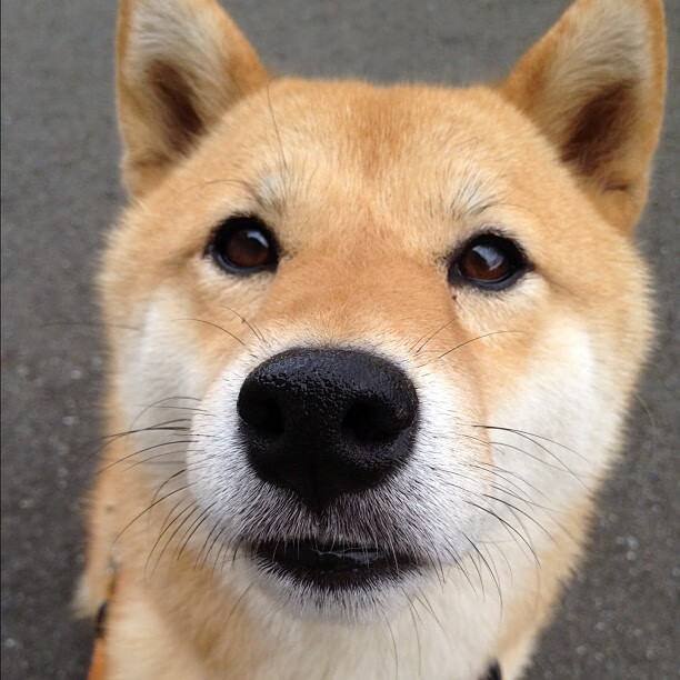 传统武术表演会，文化韵味在运动中绽放，年会武术表演